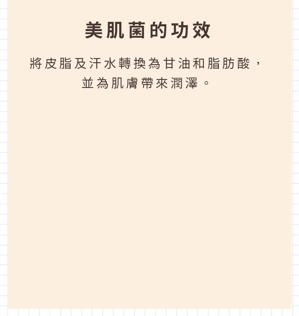 益菌保養、抗老。美肌菌的功效 將皮脂及汗水轉換為甘油和脂肪酸，並為肌膚帶來潤澤。