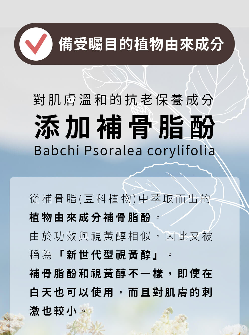 益菌保養、抗老。備受矚目的植物由來成分 對肌膚溫和的抗老保養成分 添加補骨脂酚